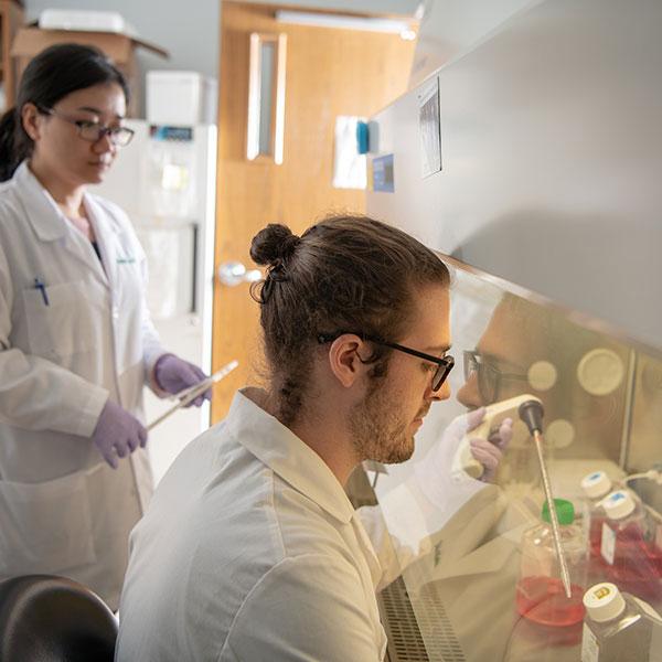 Ohio University students work in a lab